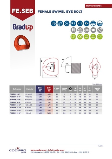 Female Swivel Eye Bolt